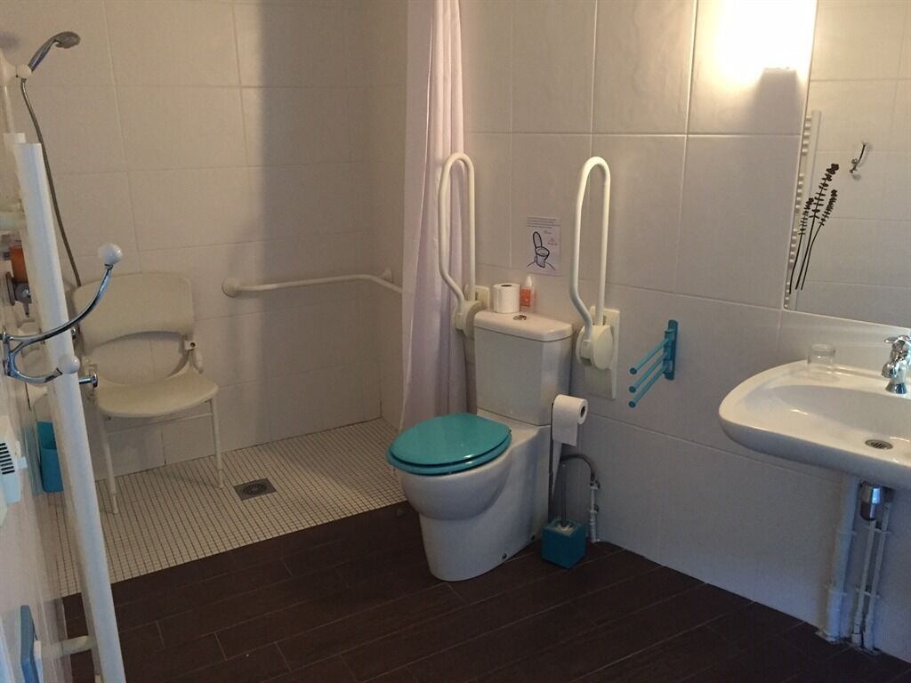 Een badkamer met toilet, douche en wastafel.