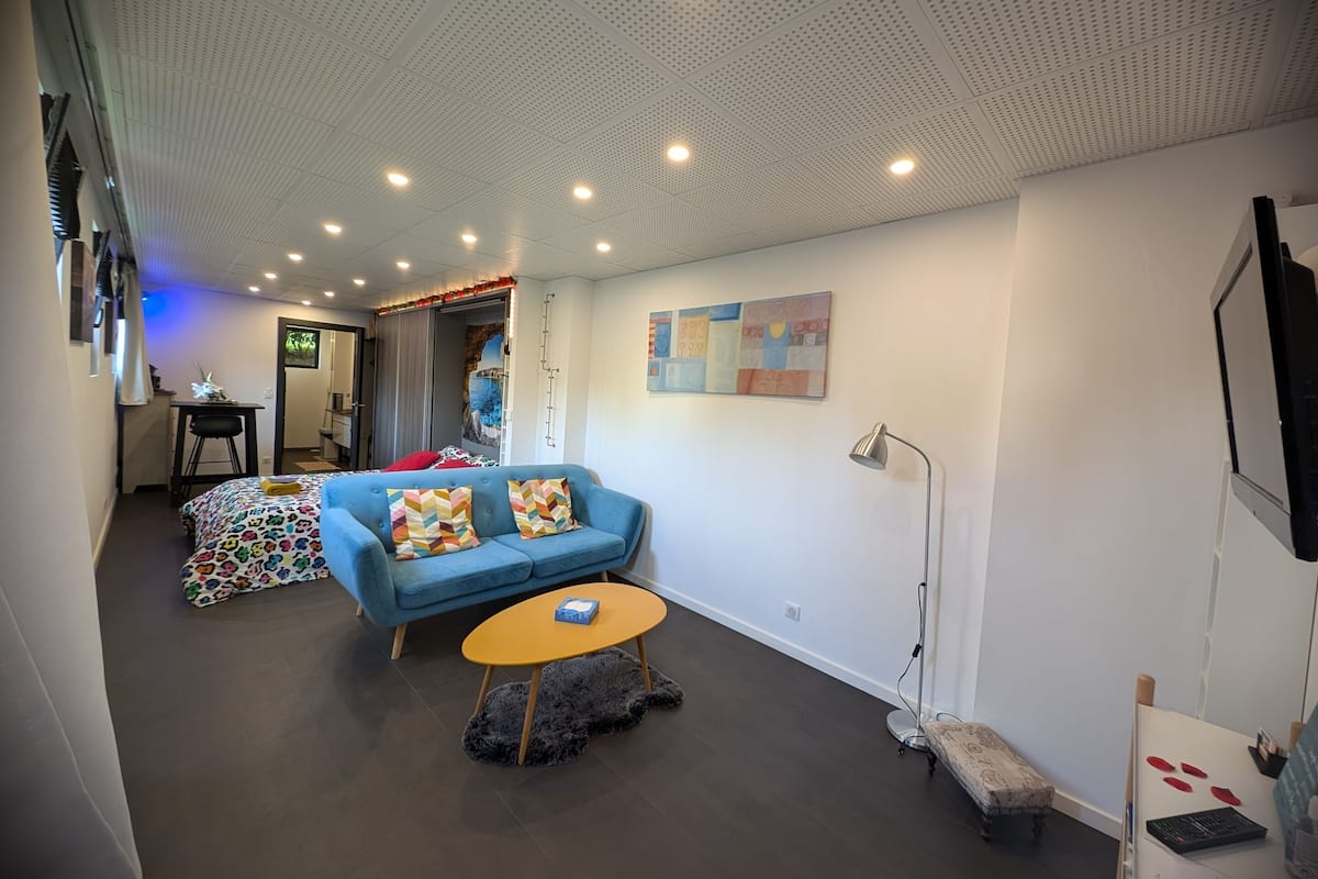 City Studio, Ensuite, Garden View (Meublé 3*)