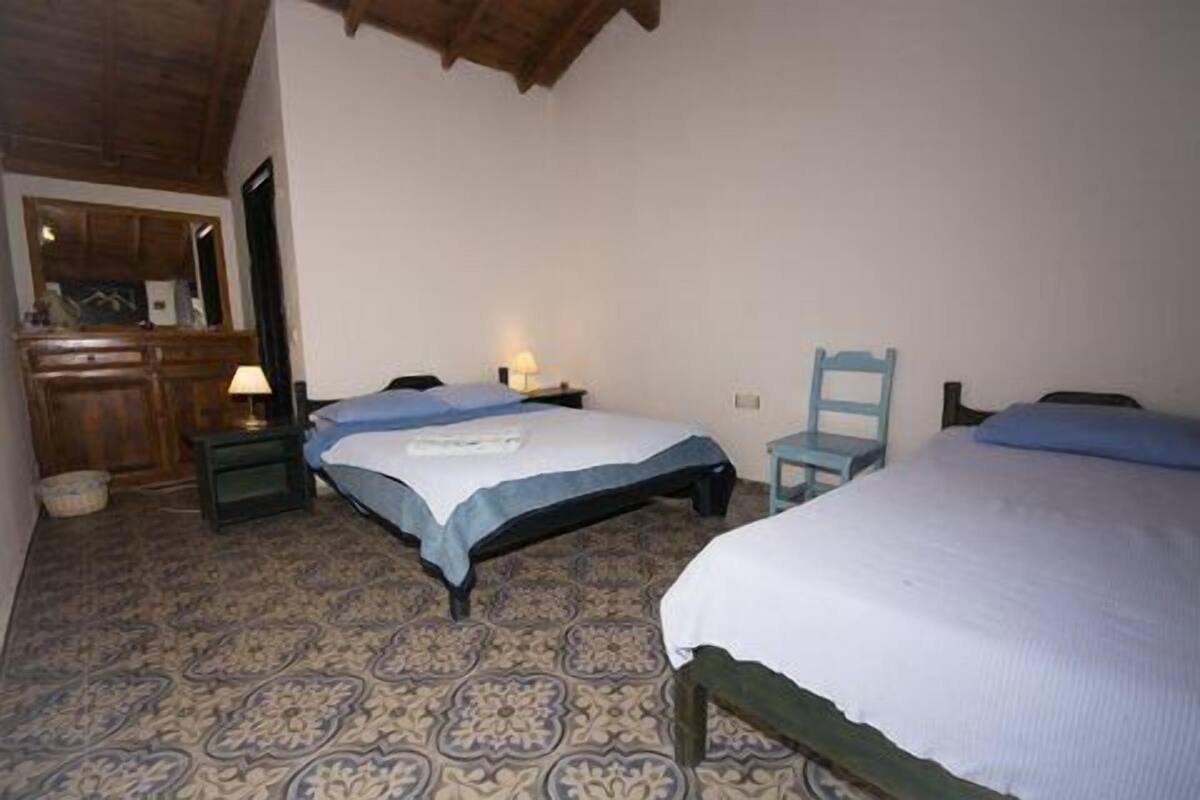 A bedroom with two beds, a wooden wardrobe, a chair, and a patterned carpet.