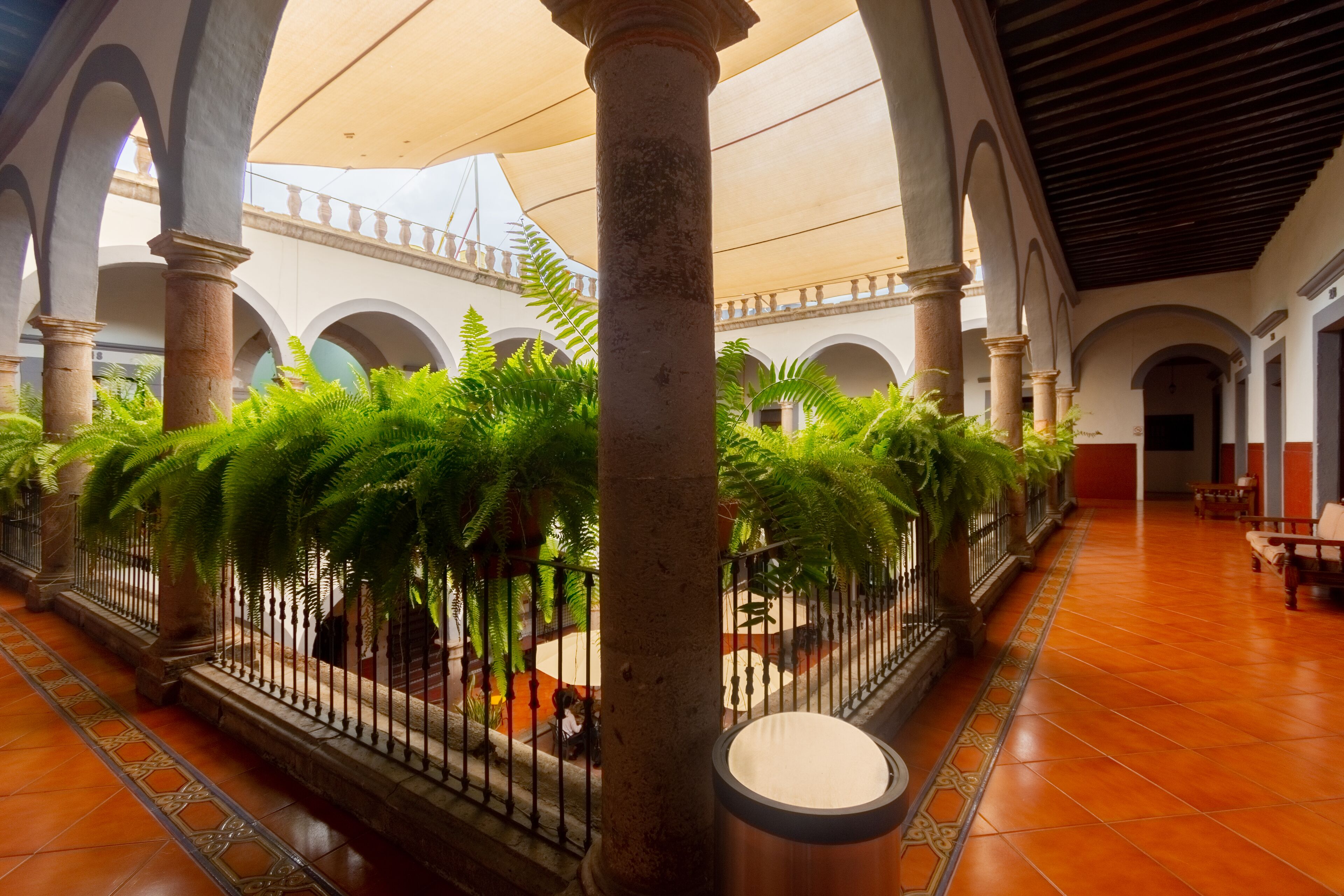 Foto - Hotel Hidalgo