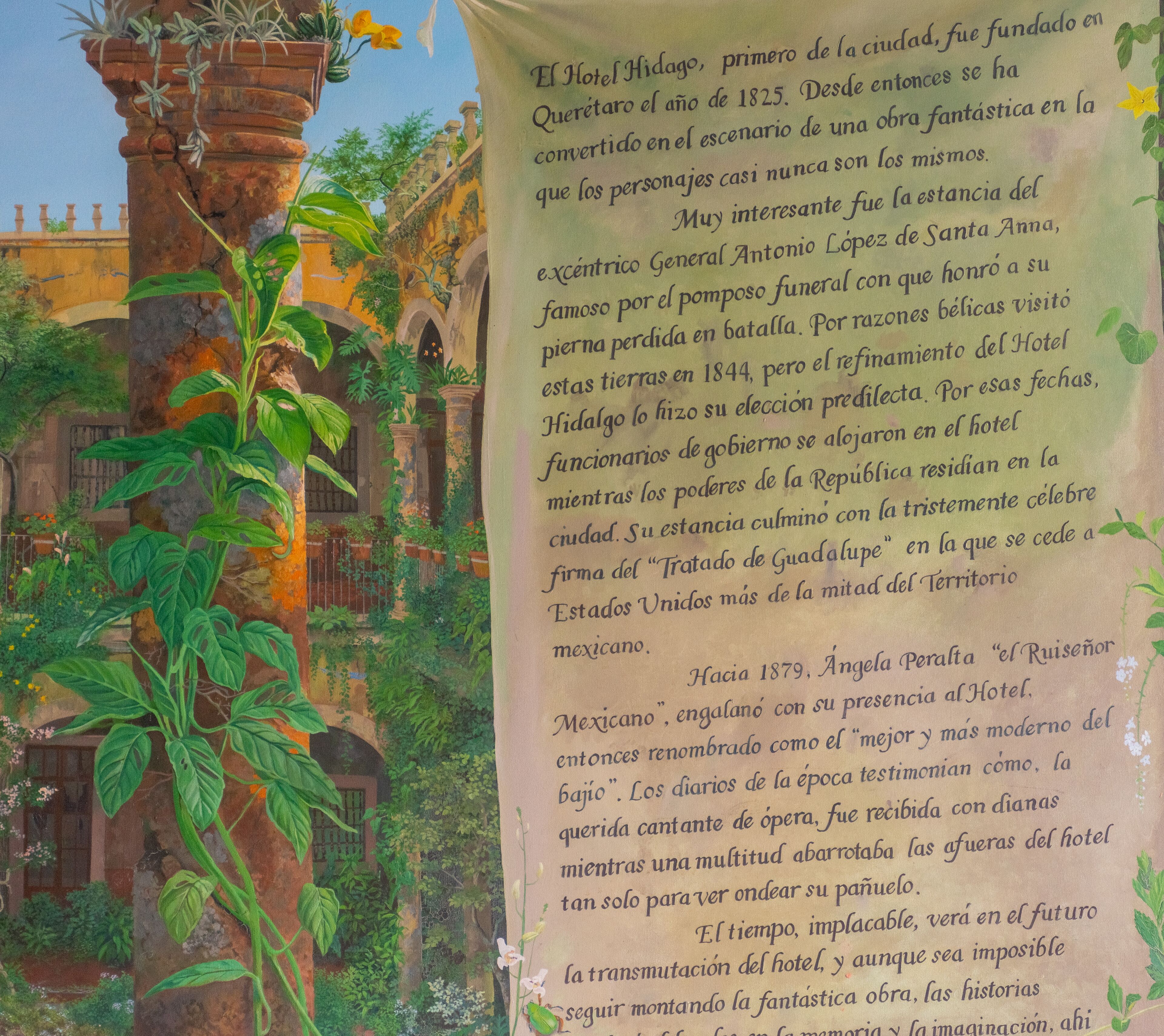 Foto - Hotel Hidalgo