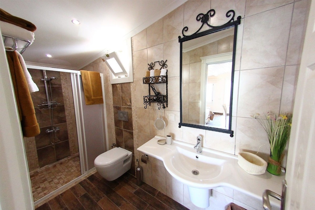 shower, free toiletries, hair dryer, slippers