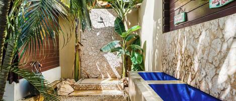 A narrow pathway leading to a stone wall with a blue bench, surrounded by lush tropical plants.