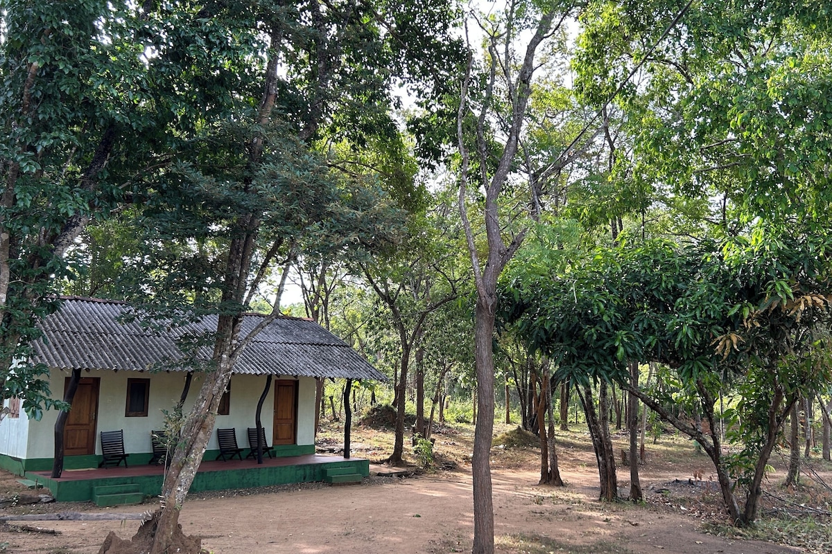 A small, single-story building with a tiled roof, surrounded by trees and a dirt path.