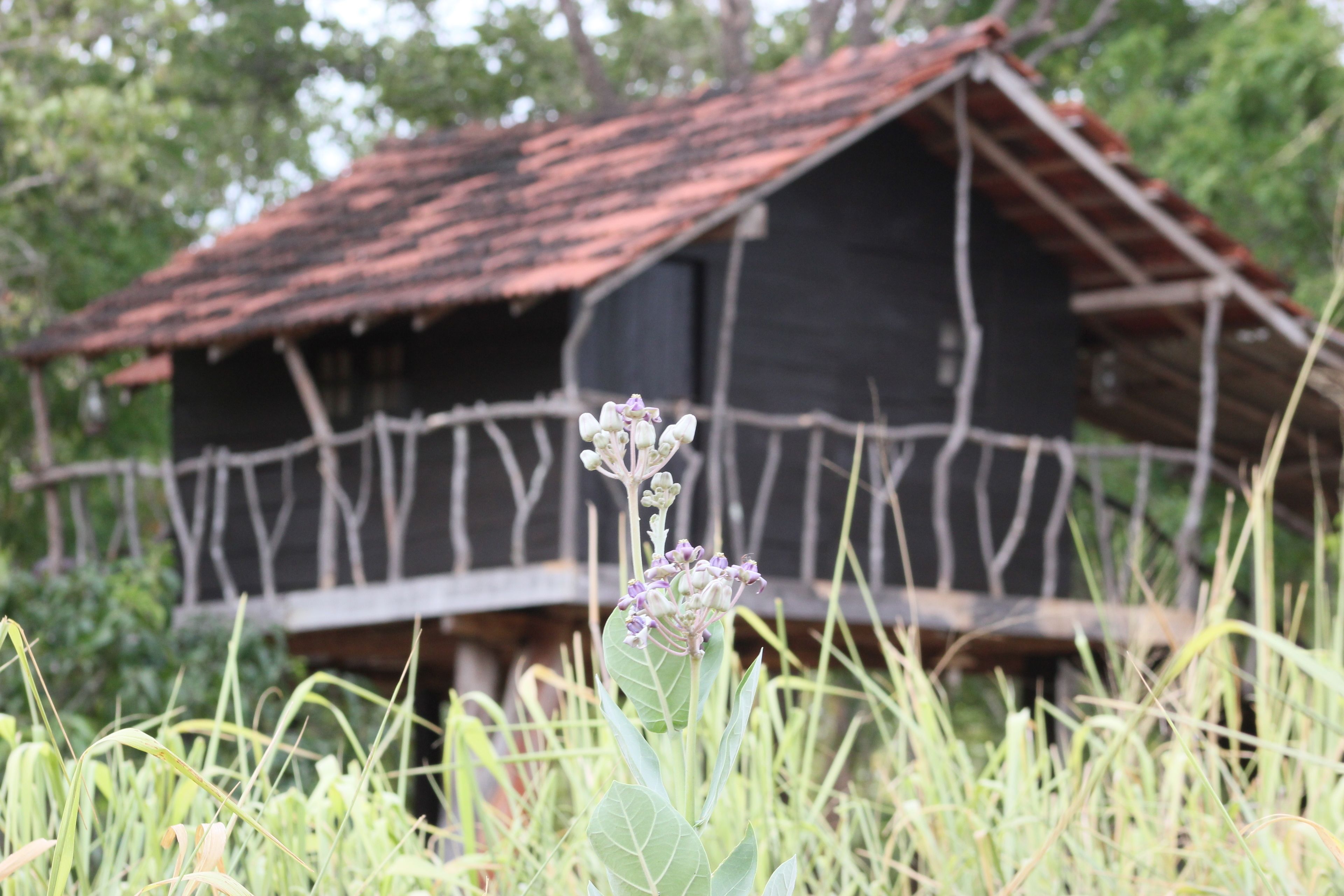 Khuôn viên nơi lưu trú