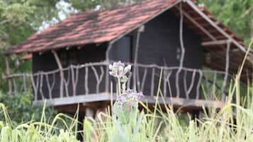 Enceinte de lâhĂ©bergement