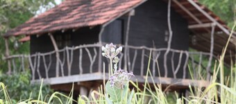 Eagles Wings Guest House