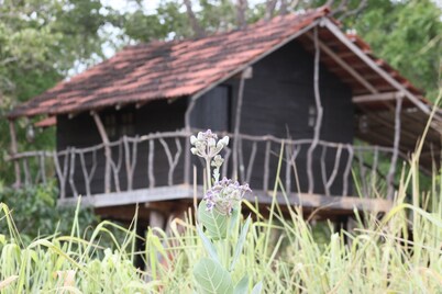 Eagles Wings Guest House