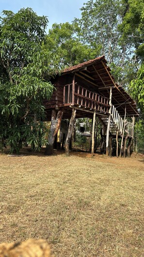 A wooden structure with a sloped roof supported by wooden beams, surrounded by trees and dry grass.