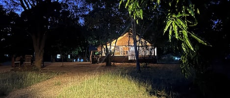 A rustic wooden cabin with a thatched roof, surrounded by trees and a grassy area.