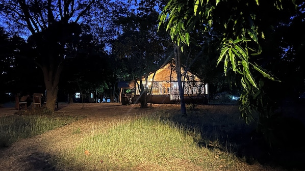 A rustic wooden cabin with a thatched roof, surrounded by trees and a grassy area.