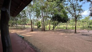 An outdoor area with a dirt ground, trees, and a covered structure.