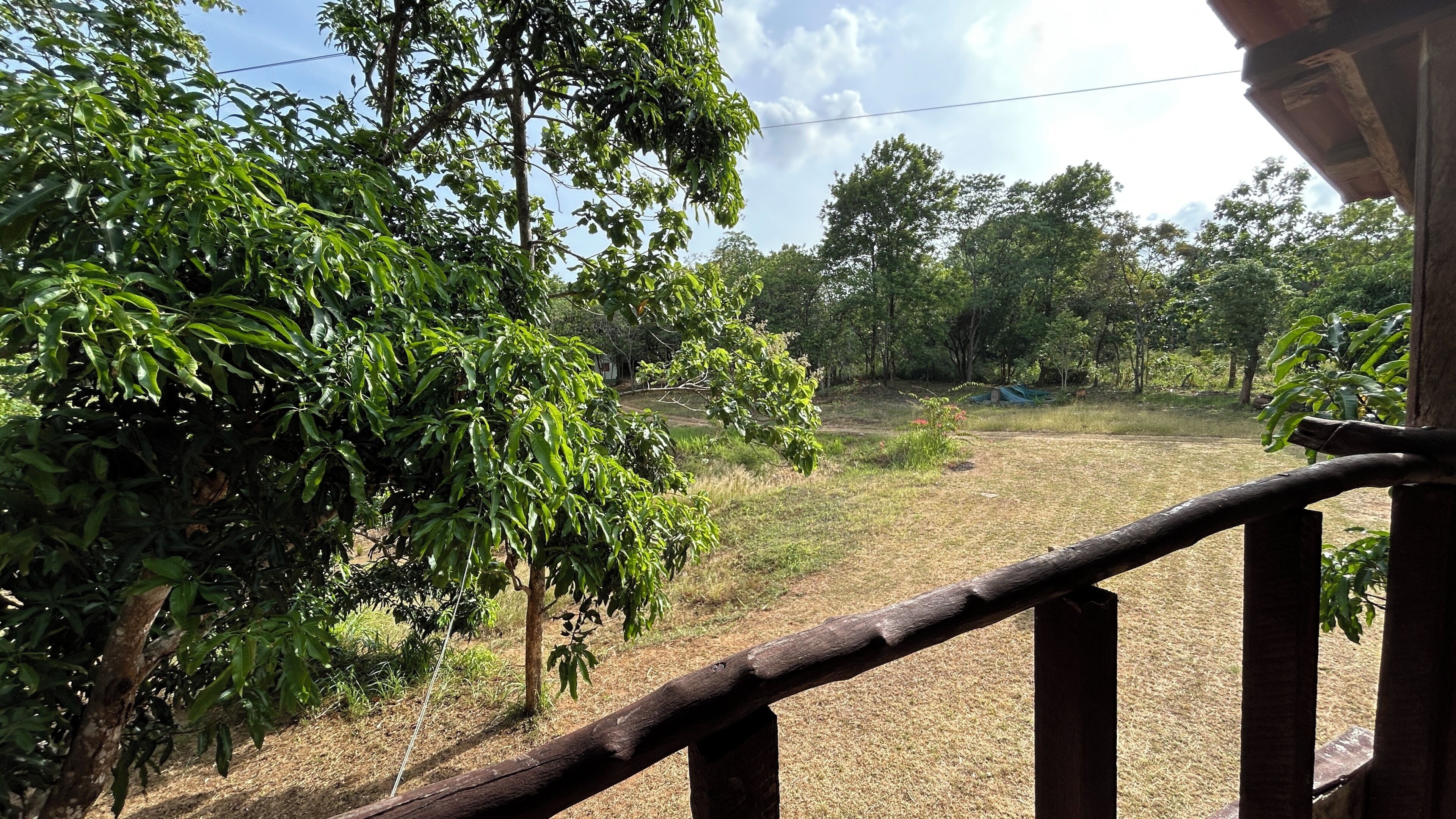 Uitzicht vanaf een houten balkon op een grasveld met bomen en een heldere lucht.