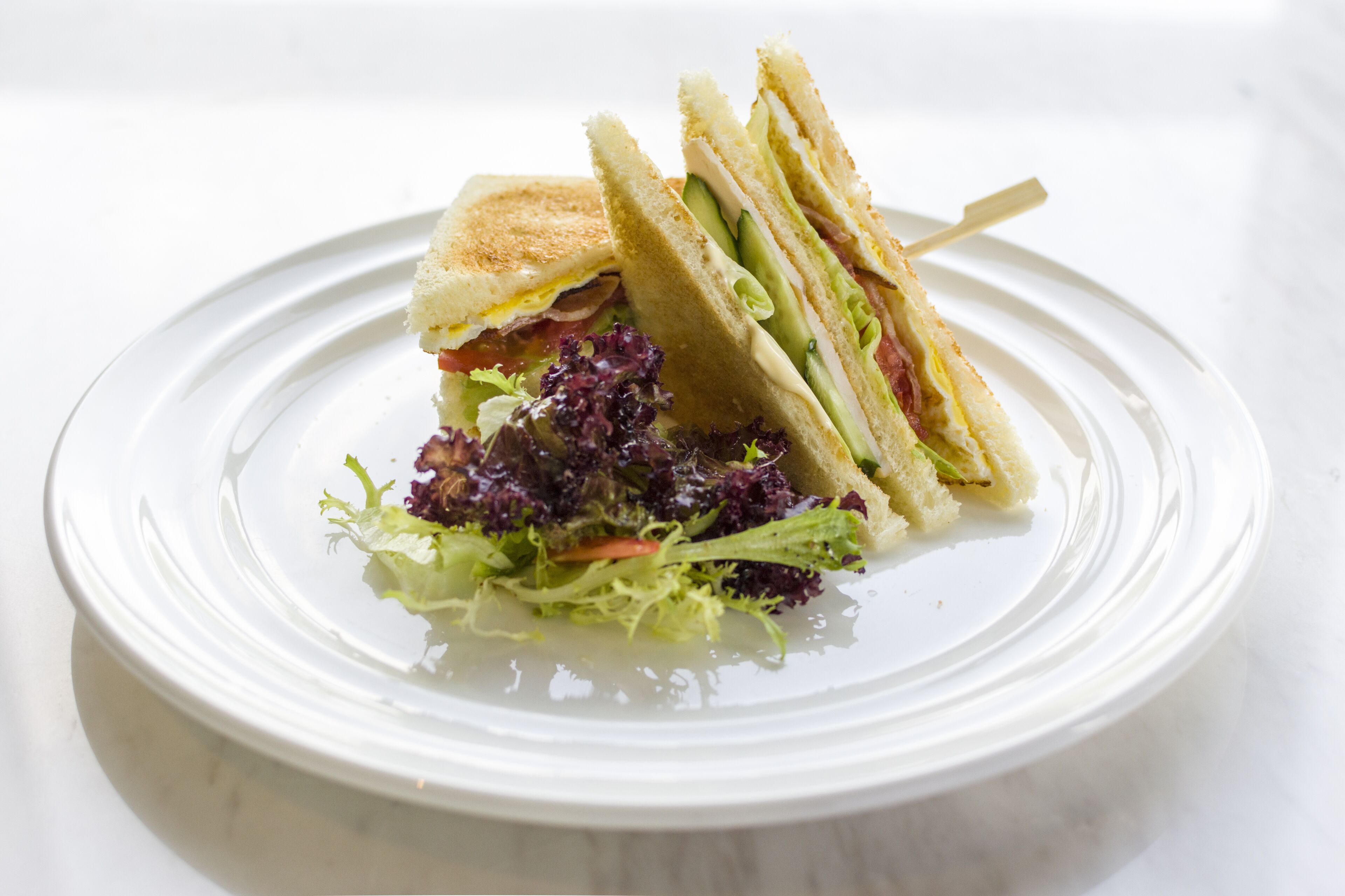 Un panino su un piatto bianco, accompagnato da un'insalata.