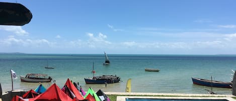 Surf/bodyboard