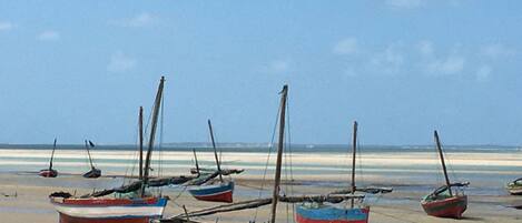 Several boats anchored on a sandy beach with a clear sky.