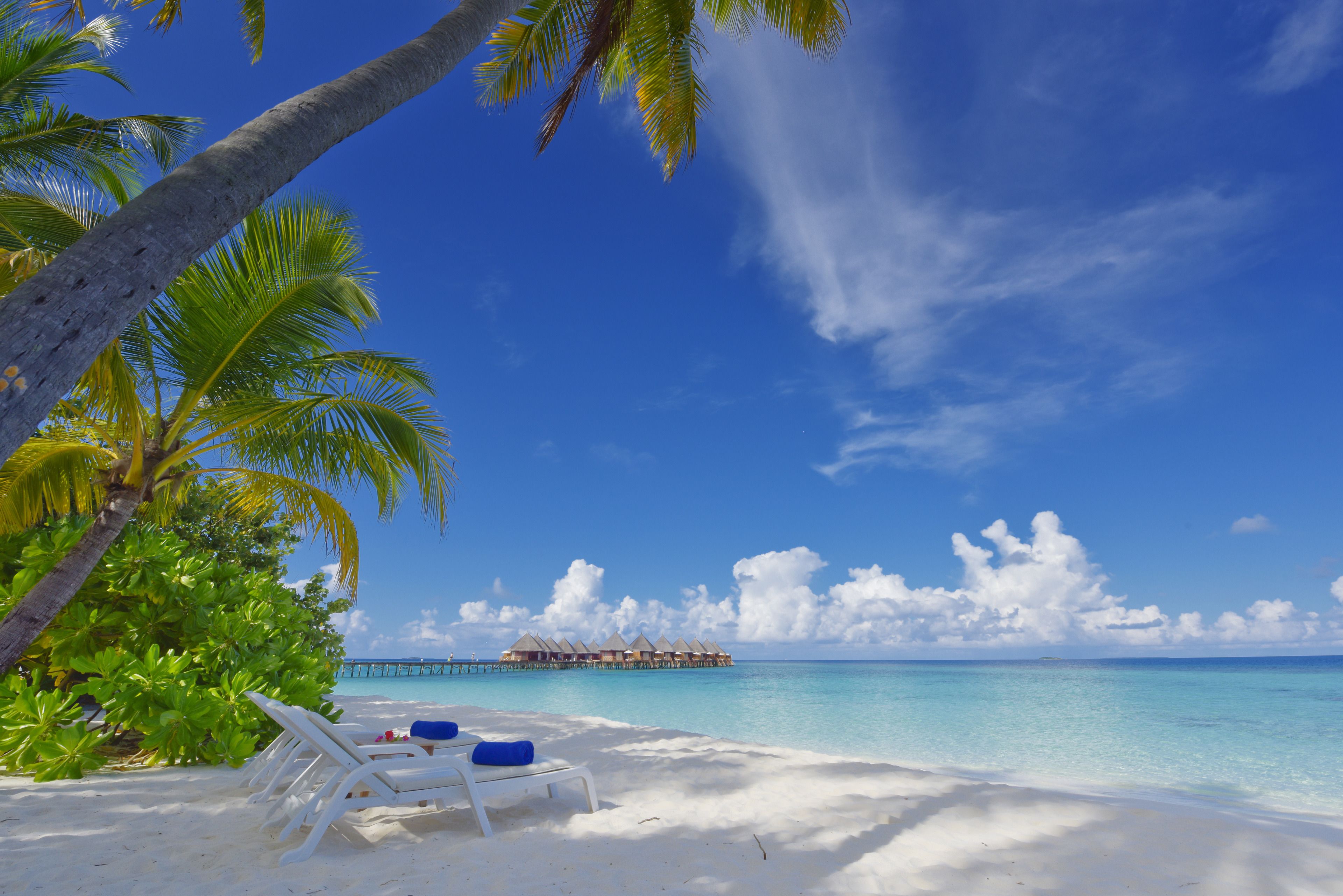 A beach with white sand, palm trees, and a clear blue sky. There are white lounge chairs with blue cushions. In the background, there is a row of overwater bungalows.