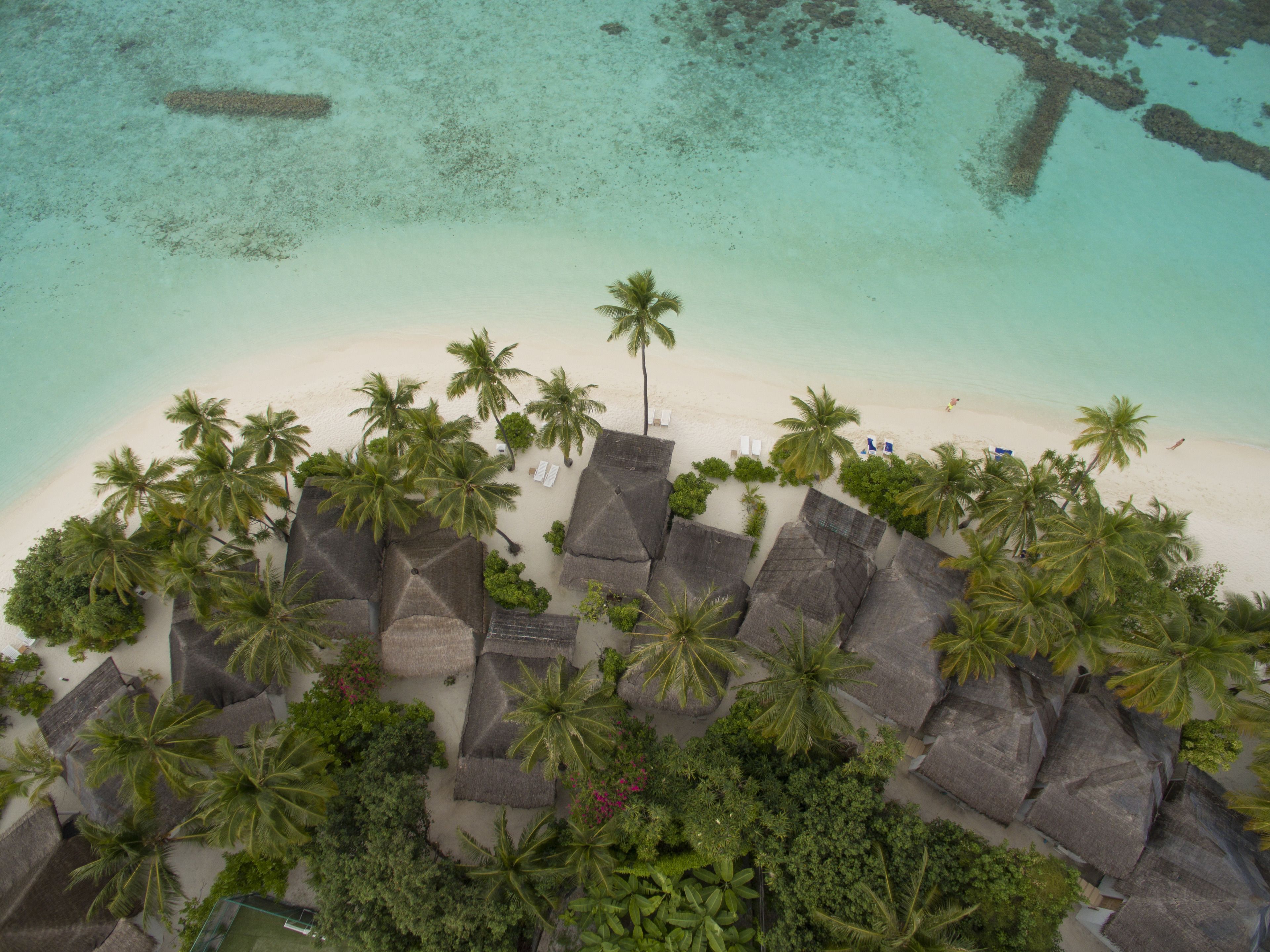 Vista aérea de un resort en la playa con cabañas de techo de paja, palmeras y aguas turquesas cristalinas.