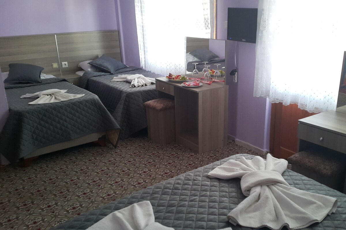 Habitación de hotel con dos camas, un escritorio y un televisor.