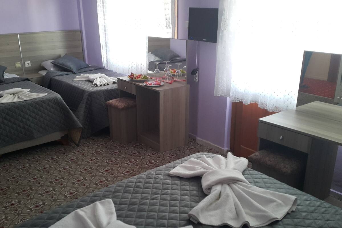 Minibar, bureau, chambres insonorisées, Wi-Fi gratuit
