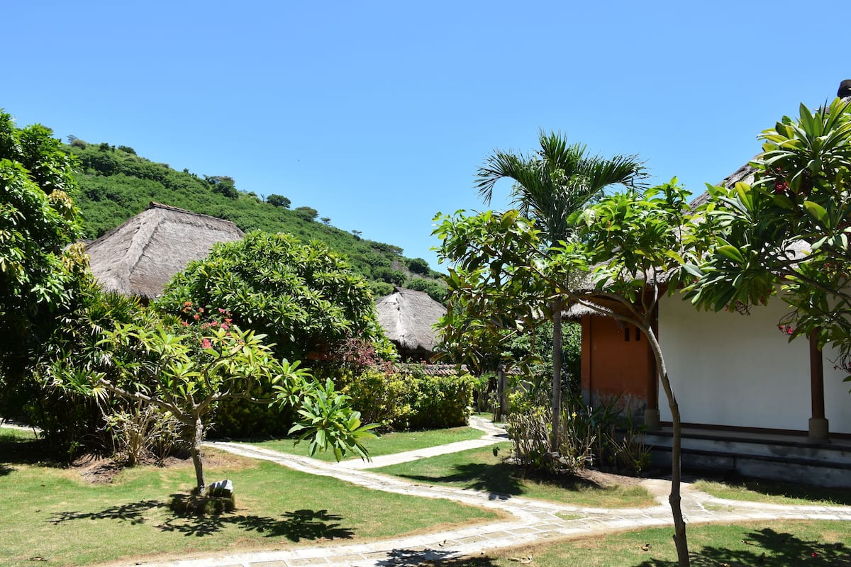 A tropical garden with a pathway leading to a building with a thatched roof.