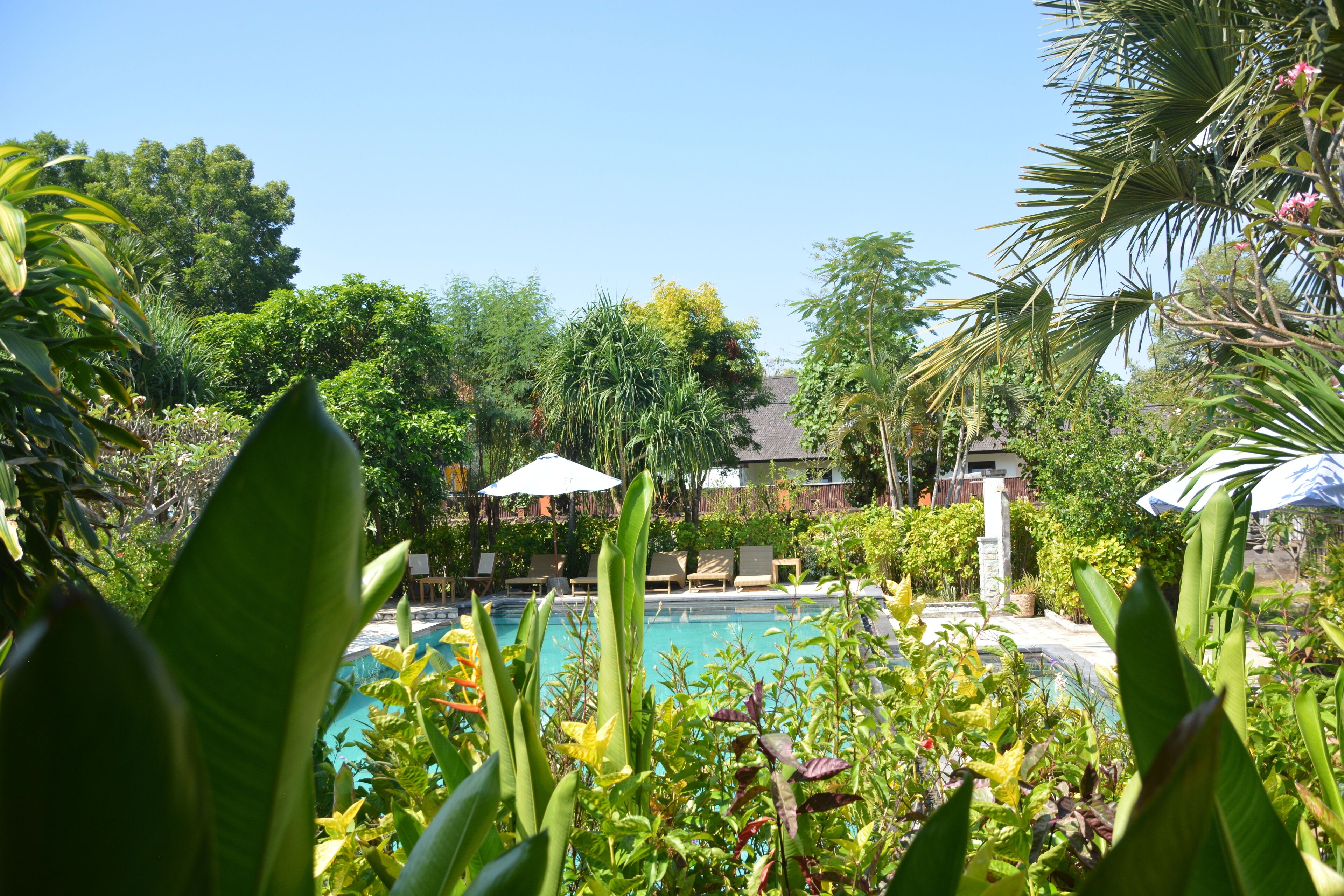 seasonal outdoor pool, an infinity pool, pool umbrellas, pool loungers