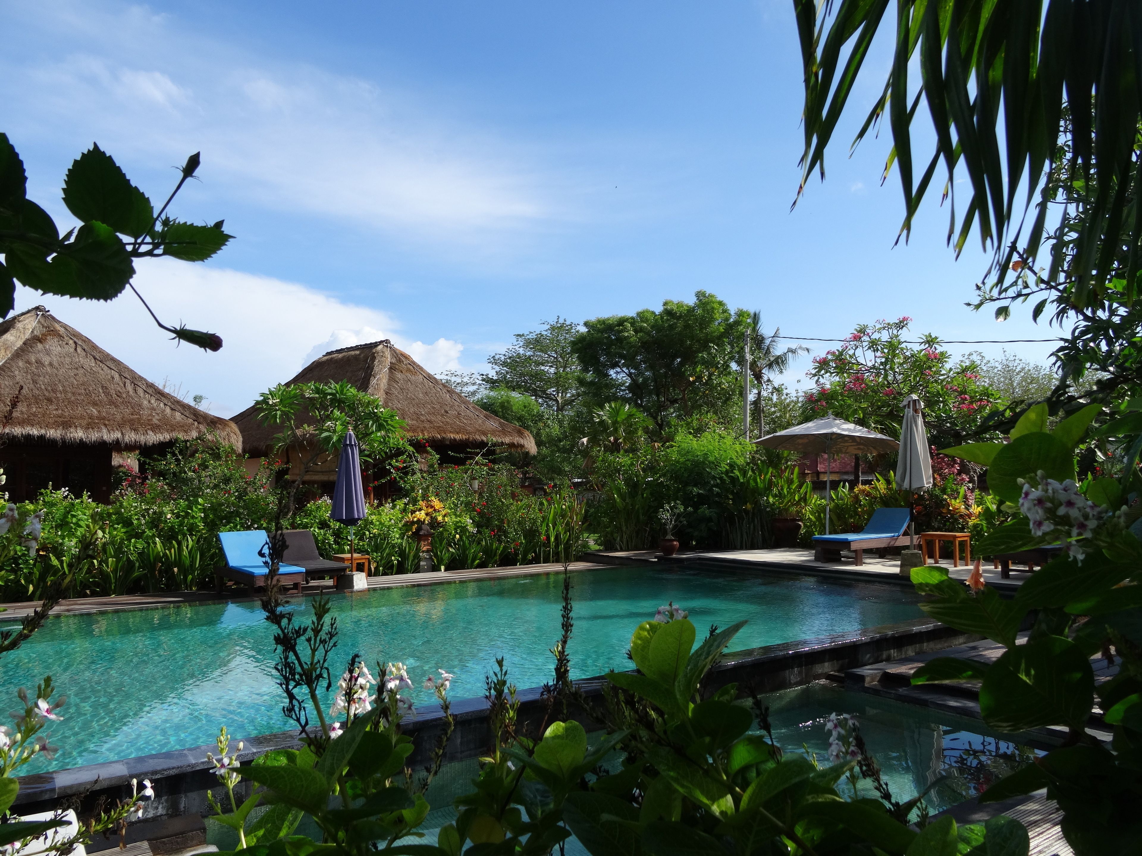 seasonal outdoor pool, an infinity pool, pool umbrellas, pool loungers