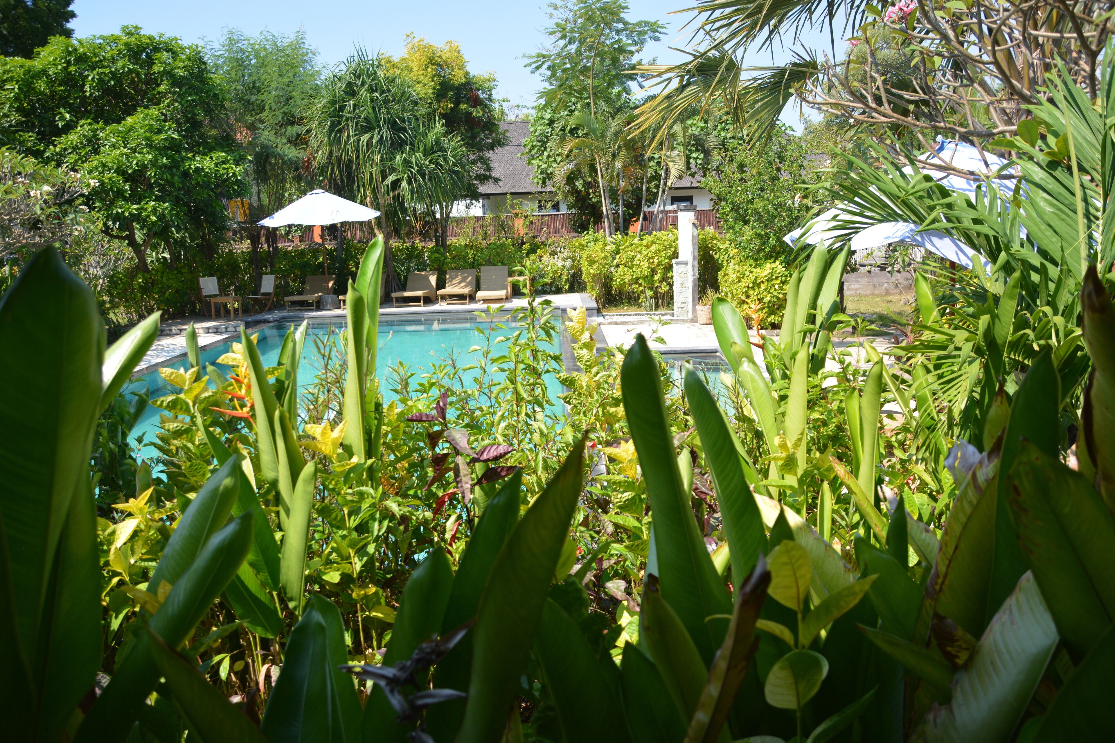 seasonal outdoor pool, an infinity pool, pool umbrellas, pool loungers