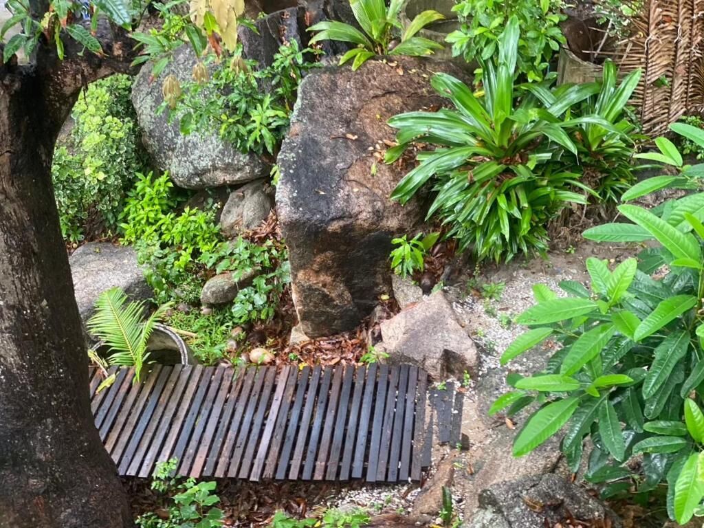 Un jardín con un banco de madera, rocas y diversas plantas.