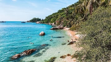 Vue sur la plage ou l’océan