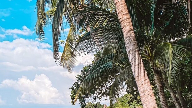 A beach with clear turquoise waters, palm trees, and rocky outcrops. - P.D. Beach Resort (Koh Tao)
