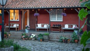 A cozy outdoor seating area with wooden benches and potted plants. - Pension Holmegaard (Allinge)
