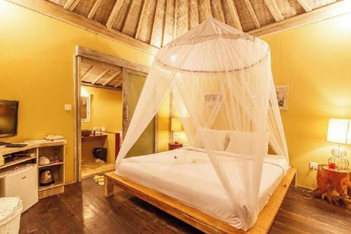 A room with a bed under a canopy, wooden flooring, a television, and a small table with a lamp.