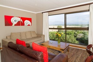 Televisión 42 pulgadas con canales de televisión vía satélite, chimenea