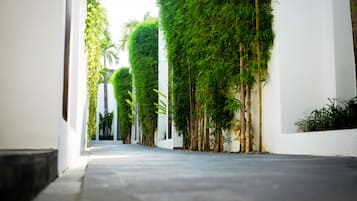 Detalle exterior