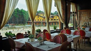 Un restaurante con mesas dispuestas para comer, sillas y plantas en macetas.