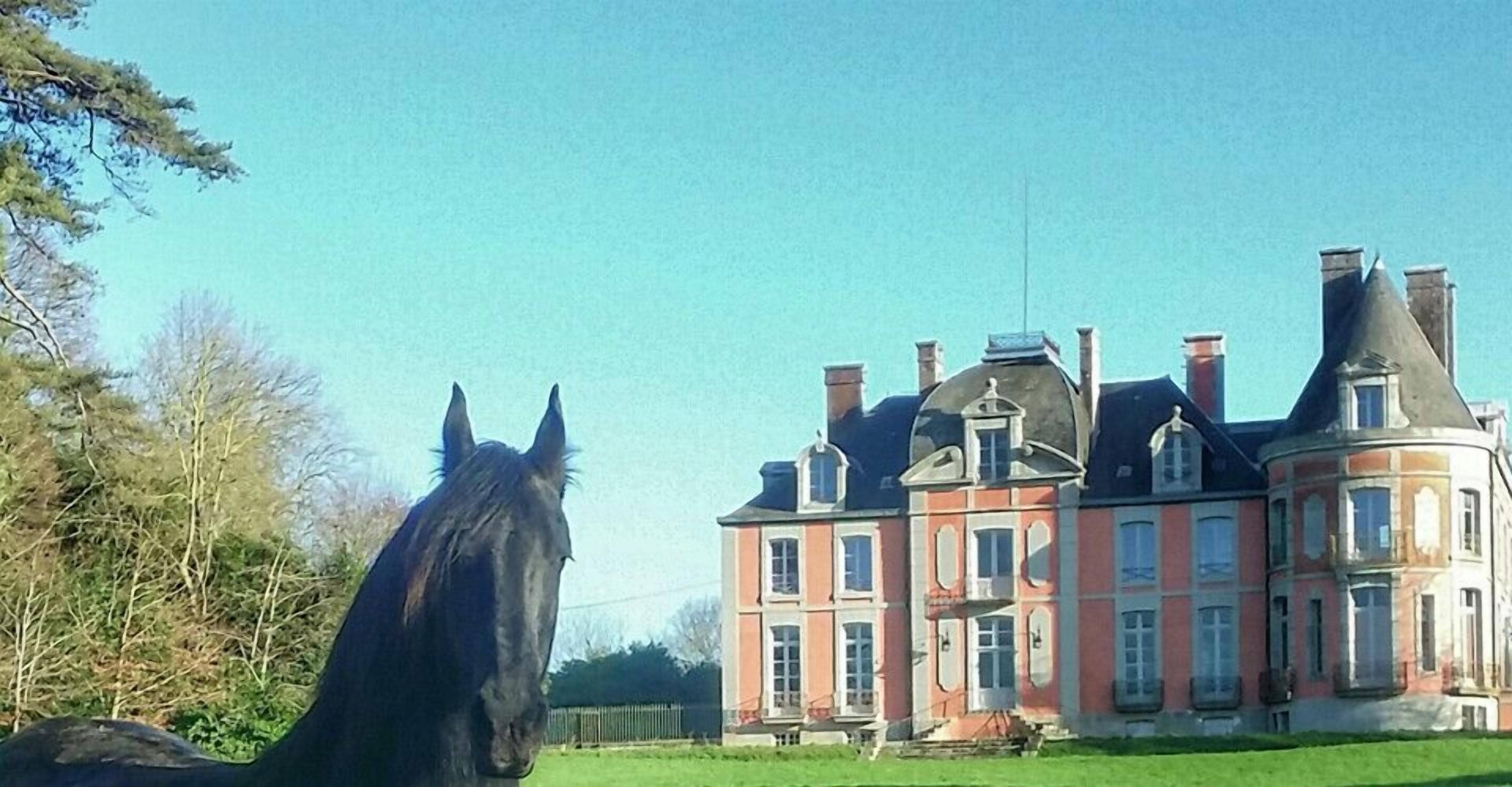 Un edificio grande e storico, con numerose canne fumarie e un prato ben curato di fronte.
