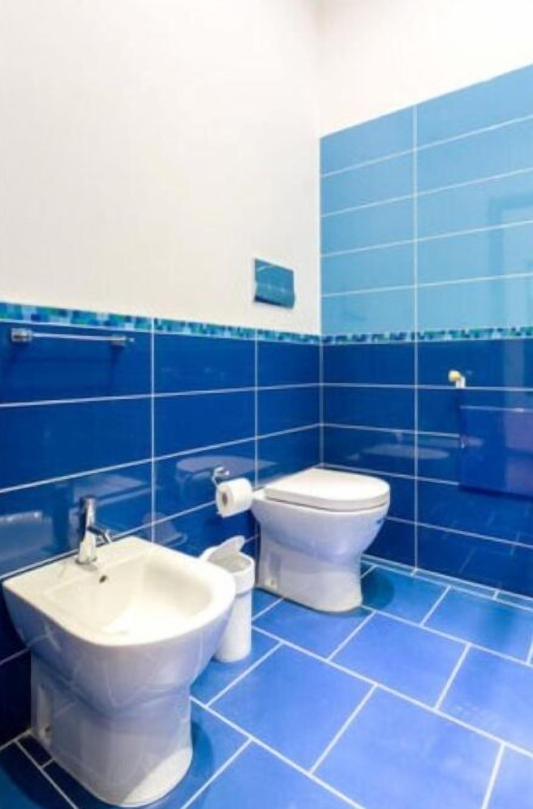 A bathroom with blue tiles, a white bidet, and a toilet.