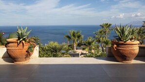 Des jardinières en terre cuite, ornées de plantes succulentes et de palmiers, sont disposées sur un balcon donnant sur la mer.