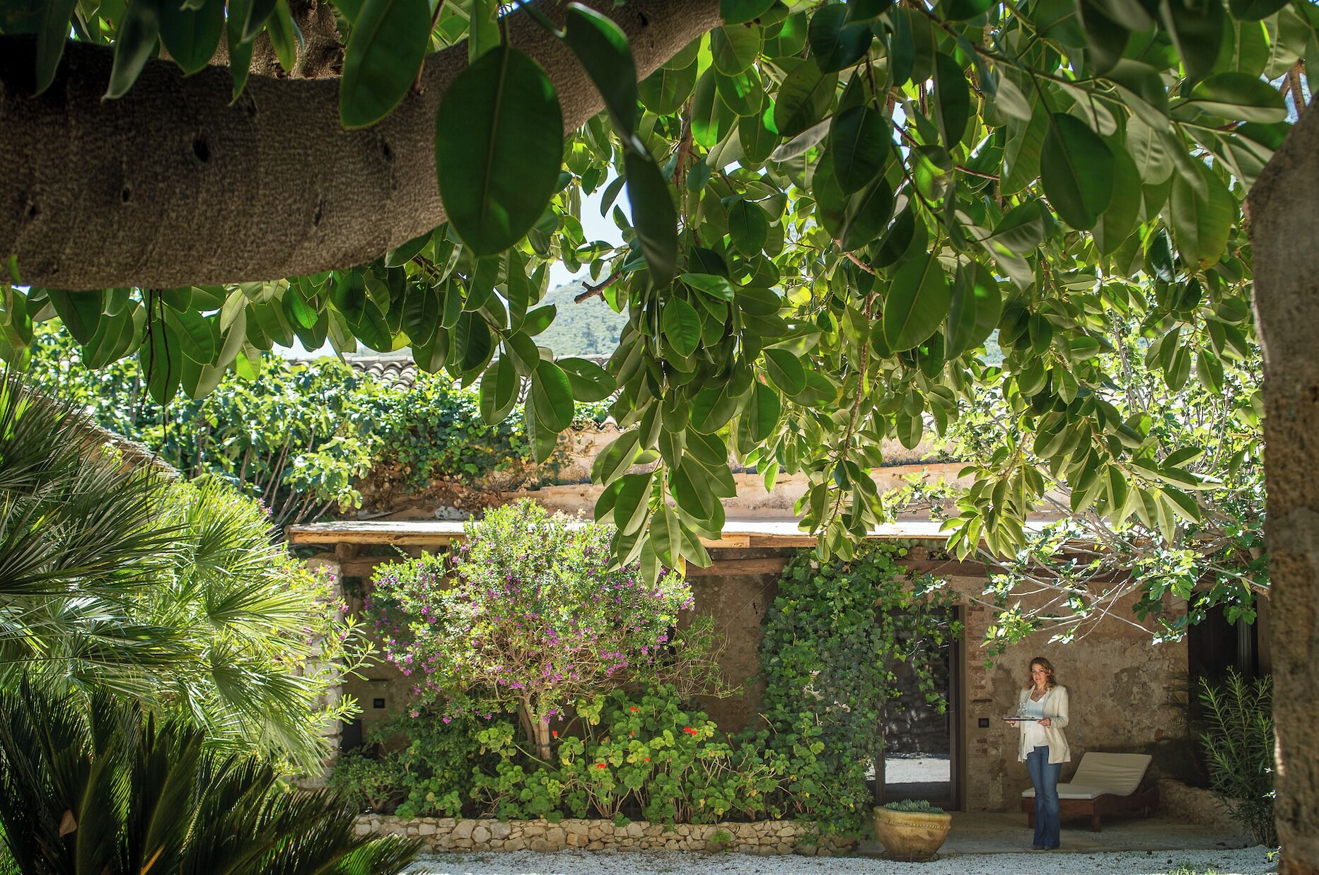 Un patio con un muro de piedra, un banco de madera y diversas plantas.