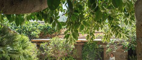 Un patio con un muro de piedra, un banco de madera y diversas plantas.