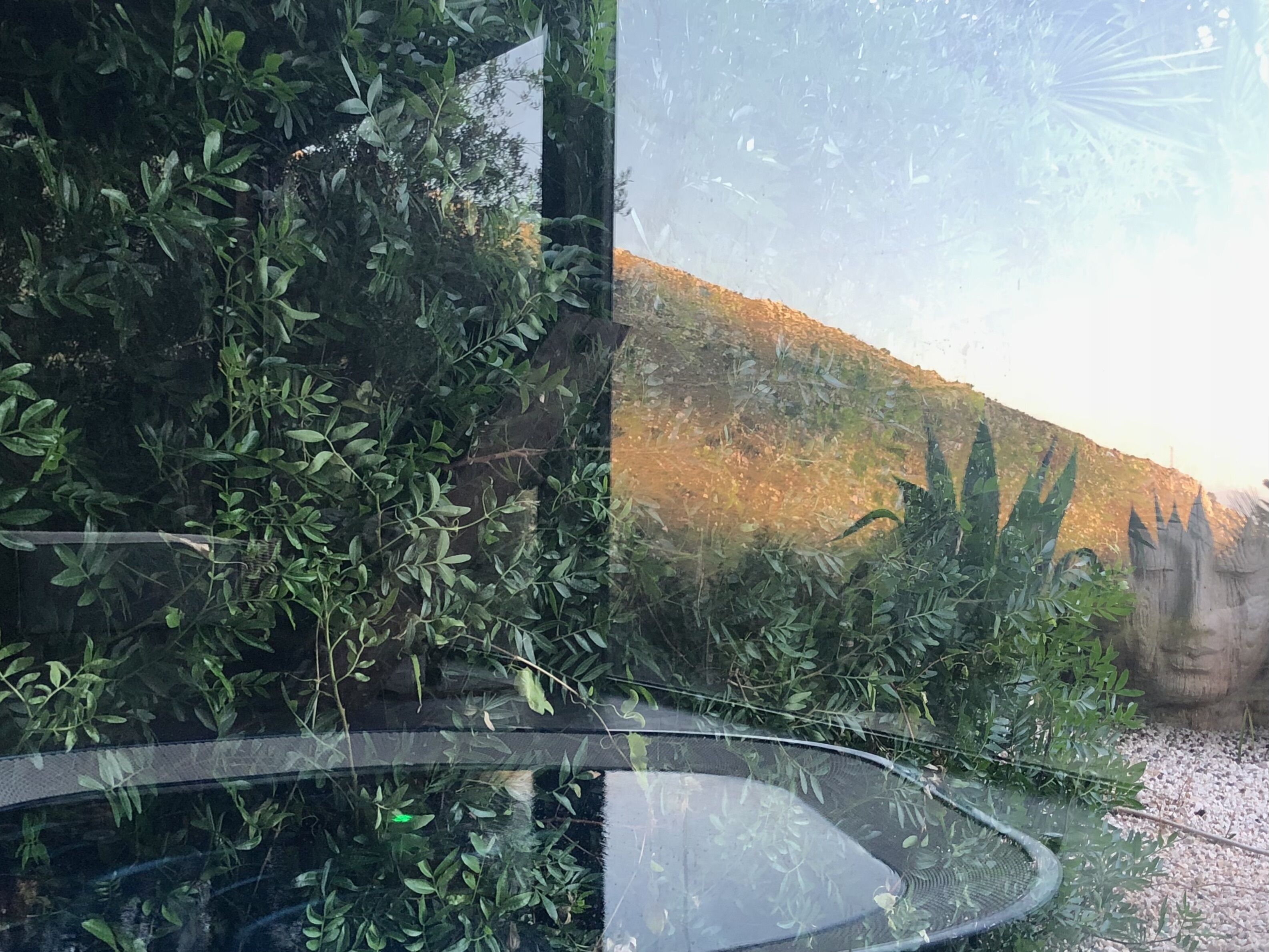 A glass enclosure with a circular viewing area surrounded by dense foliage.