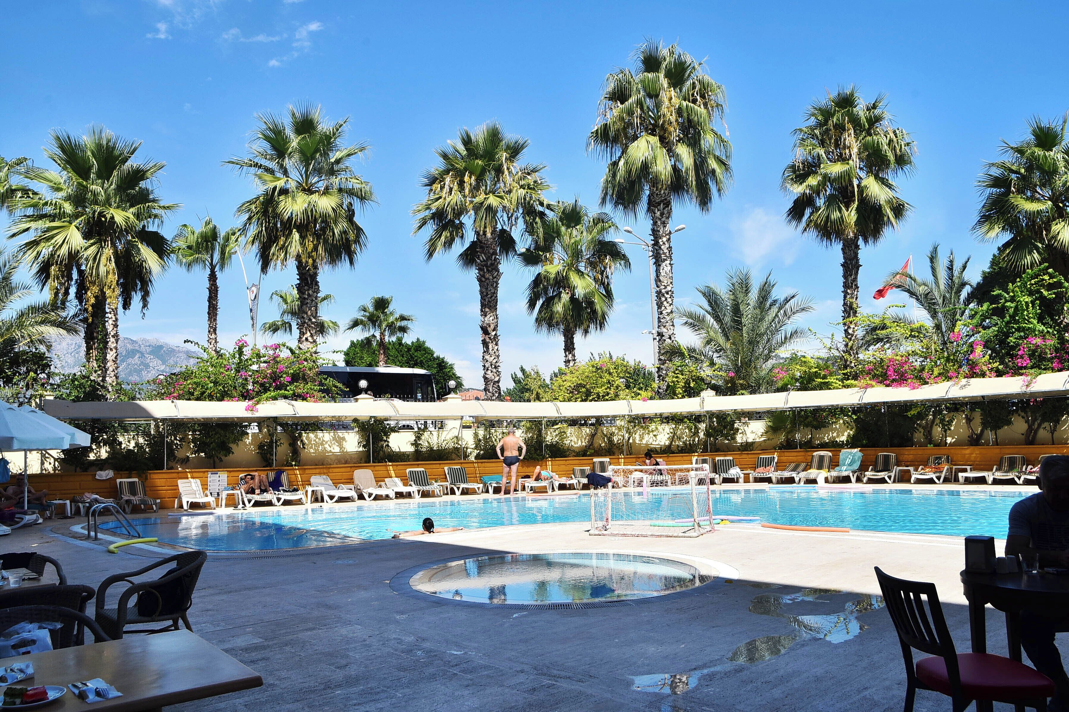 Un área de piscina con sillones de descanso y palmeras.