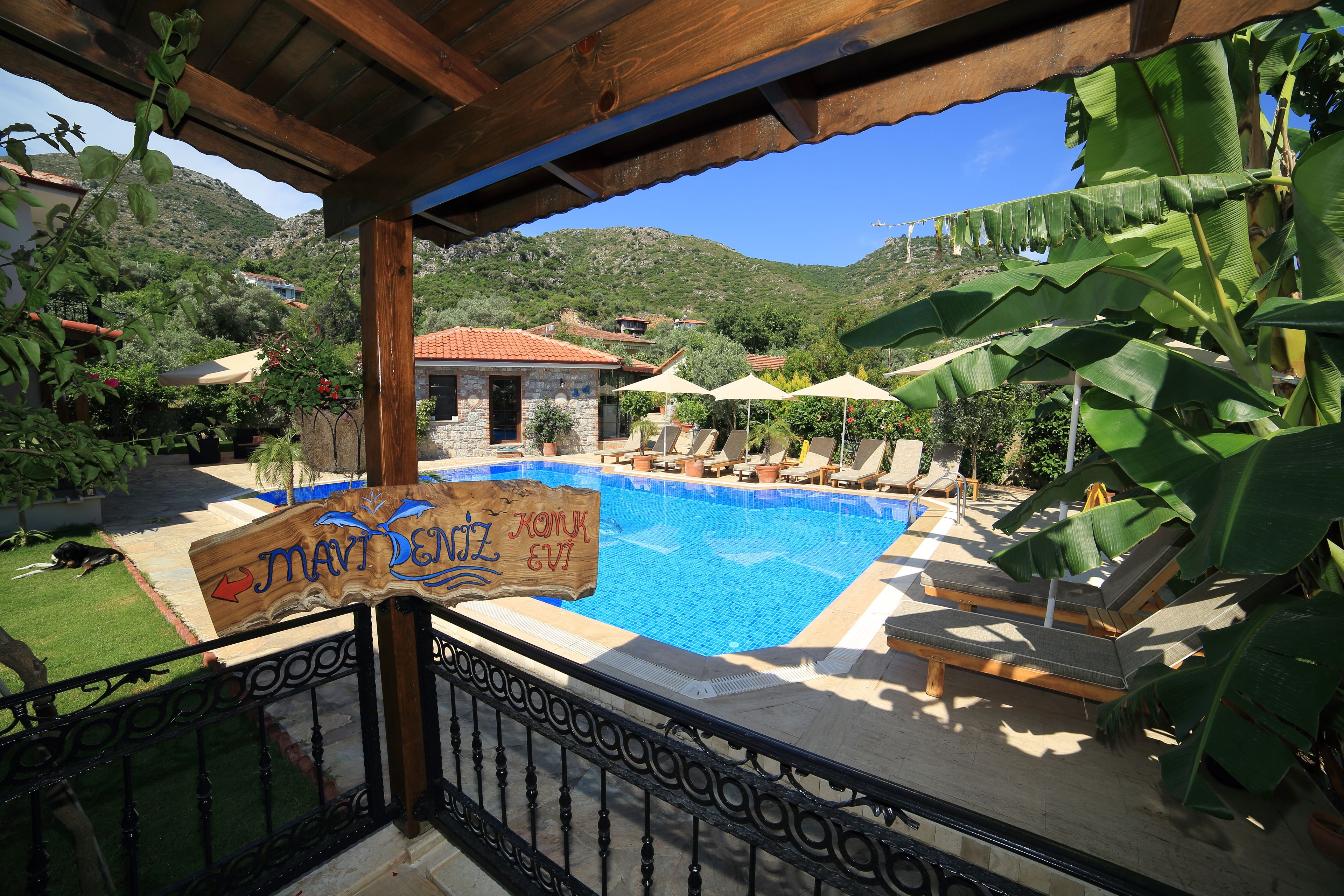 Outdoor pool, pool umbrellas, sun loungers