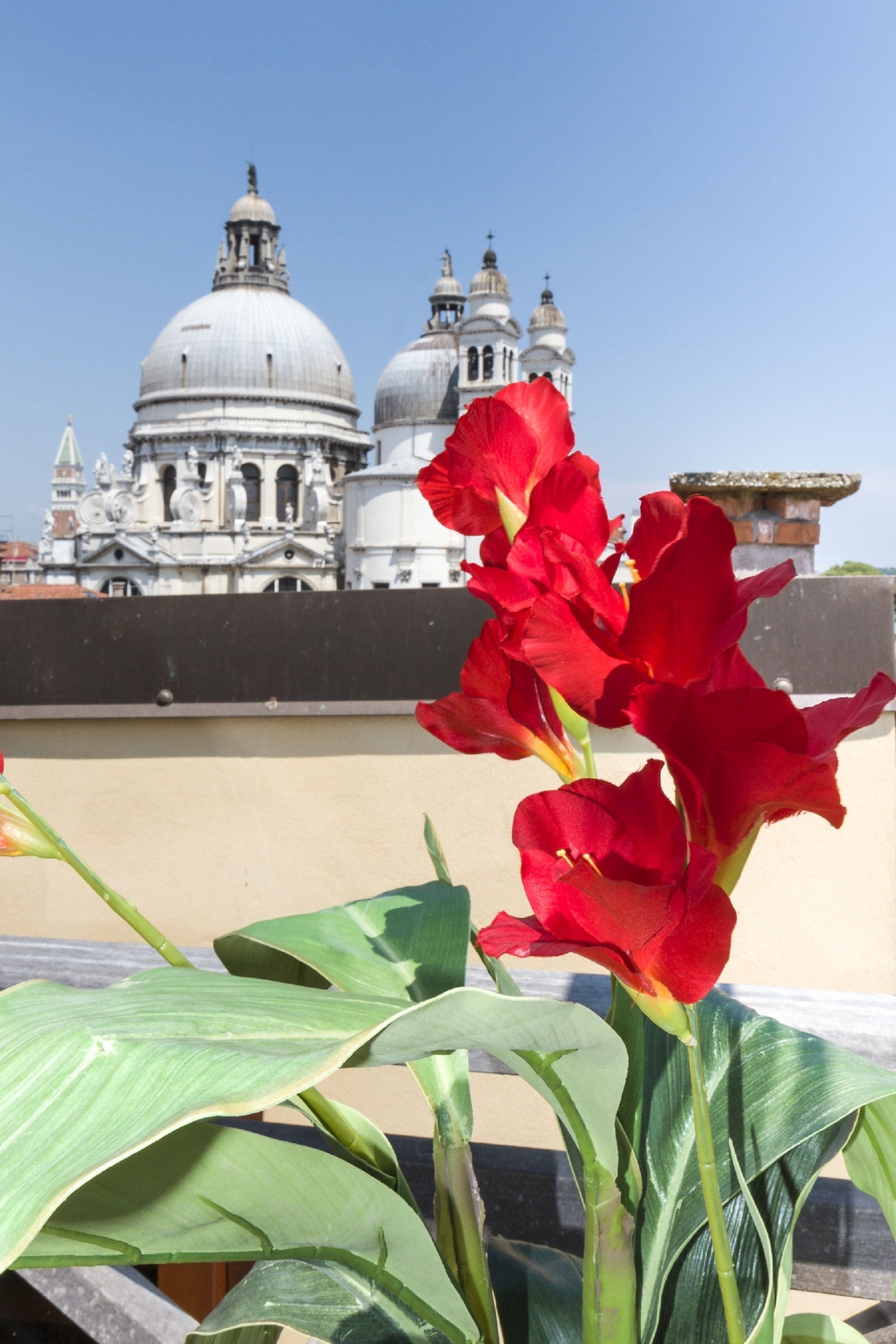 A red flower in the foreground with a building featuring domes in the background.