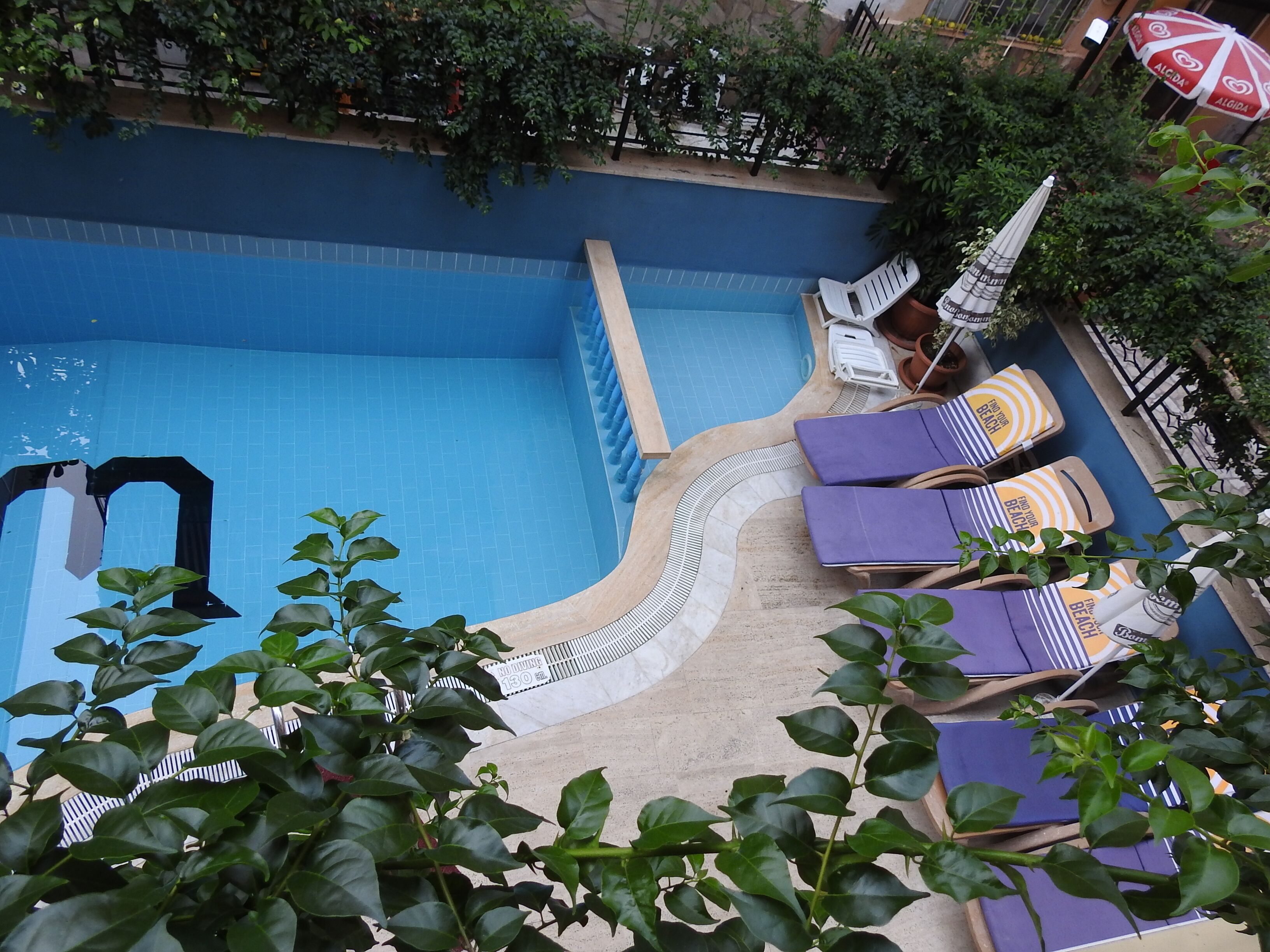 A swimming pool with a curved edge, surrounded by lounge chairs and potted plants.