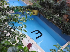 A swimming pool with a large black letter 'M' on the wall, surrounded by greenery and potted plants.