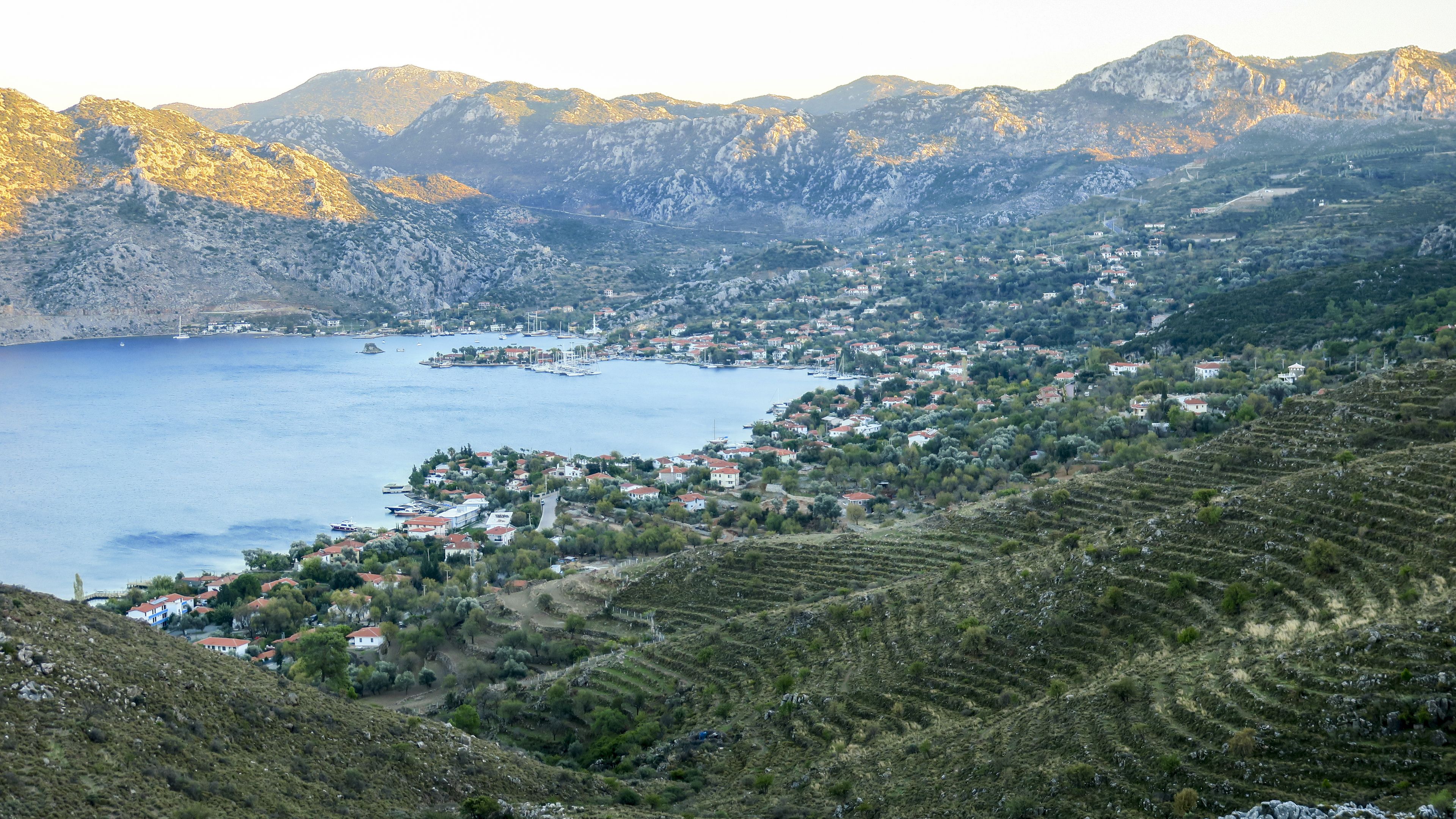 A coastal town with terraced vineyards, a marina, and mountainous terrain in the background.