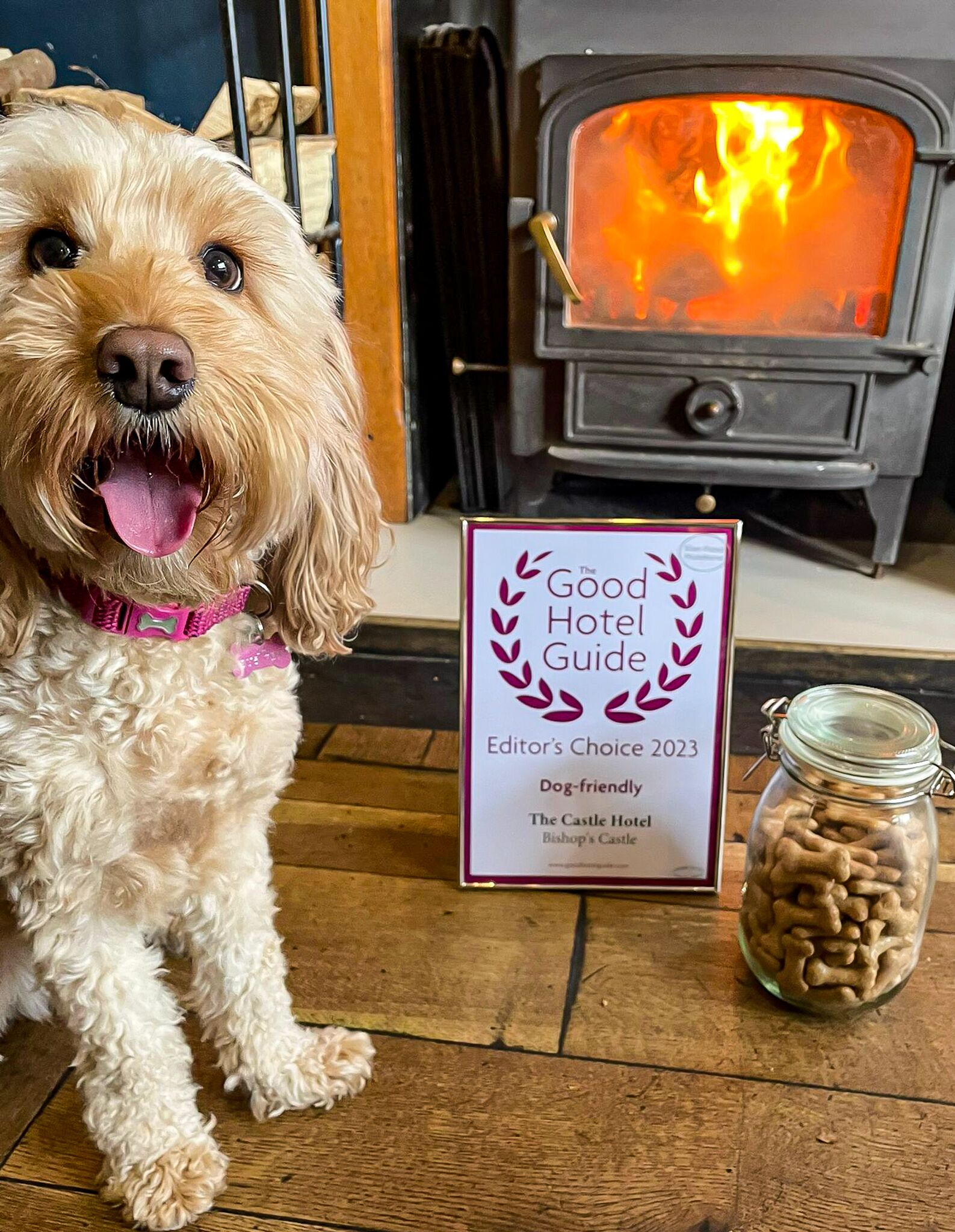 Un perro sentado junto a un cartel de The Good Hotel Guide, con una chimenea al fondo.