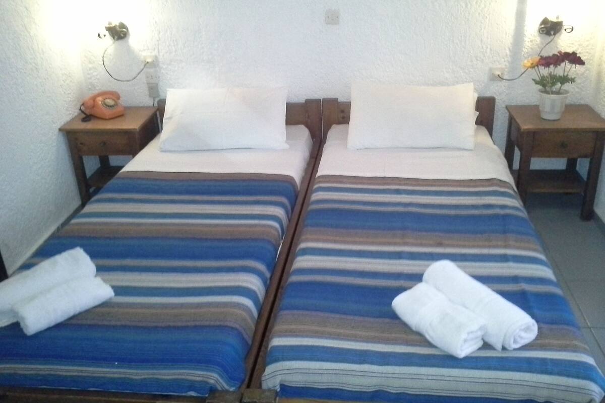 A double room with two beds, each with a striped blanket and white pillows. There are wooden nightstands with lamps and a small potted plant on one side.